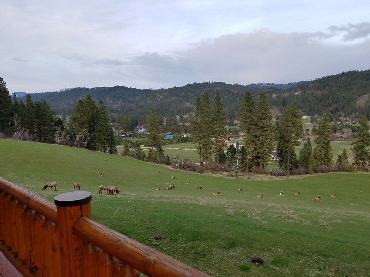 20180414_195128_001-720x540.jpg