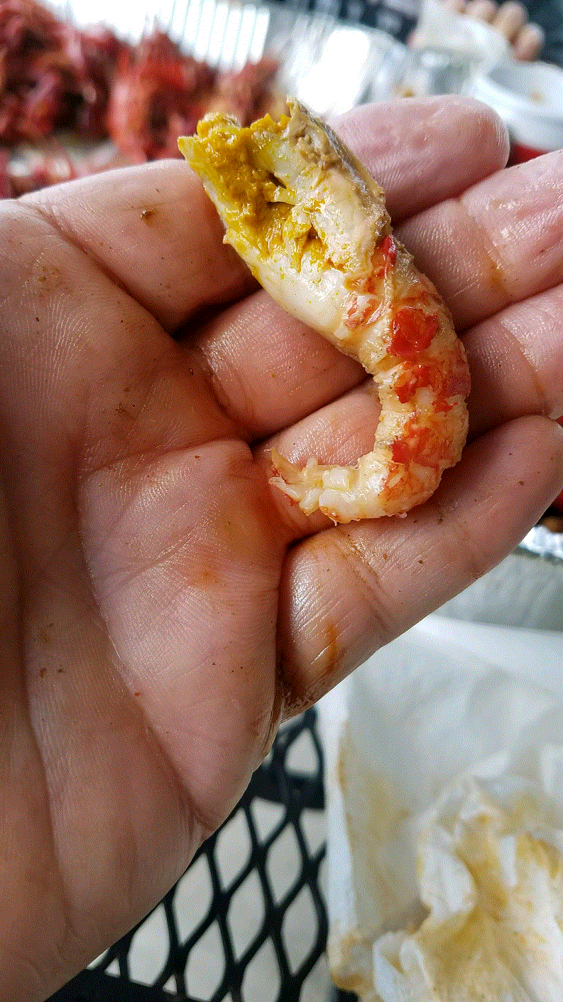 Big Crawfish Tail.gif