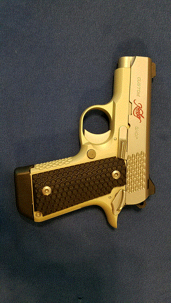 Kimber Raptor 380 2.gif