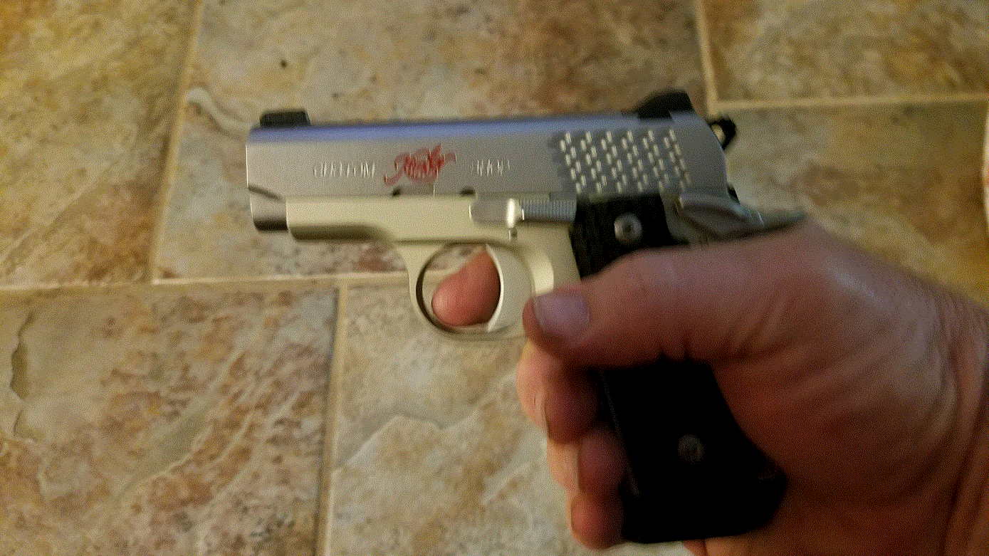Micro 380 in my hand.gif