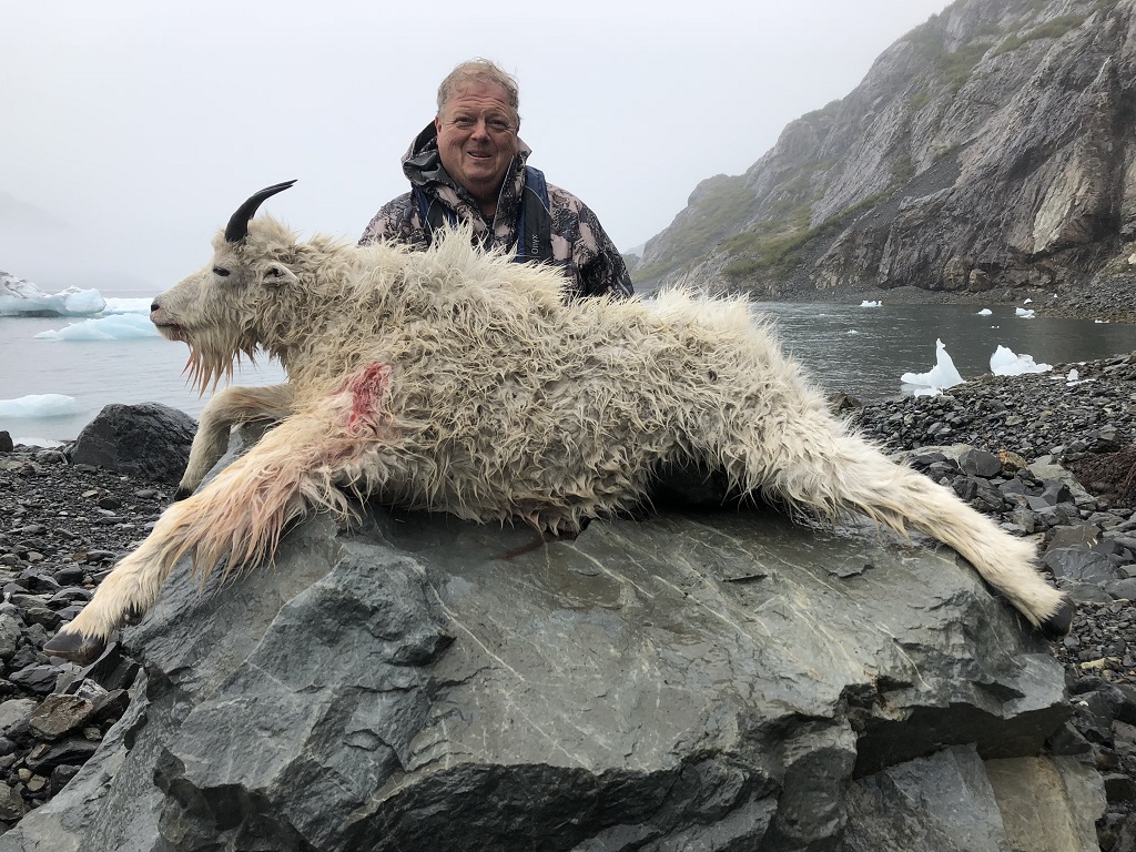 Mountain Goat-KT.jpg