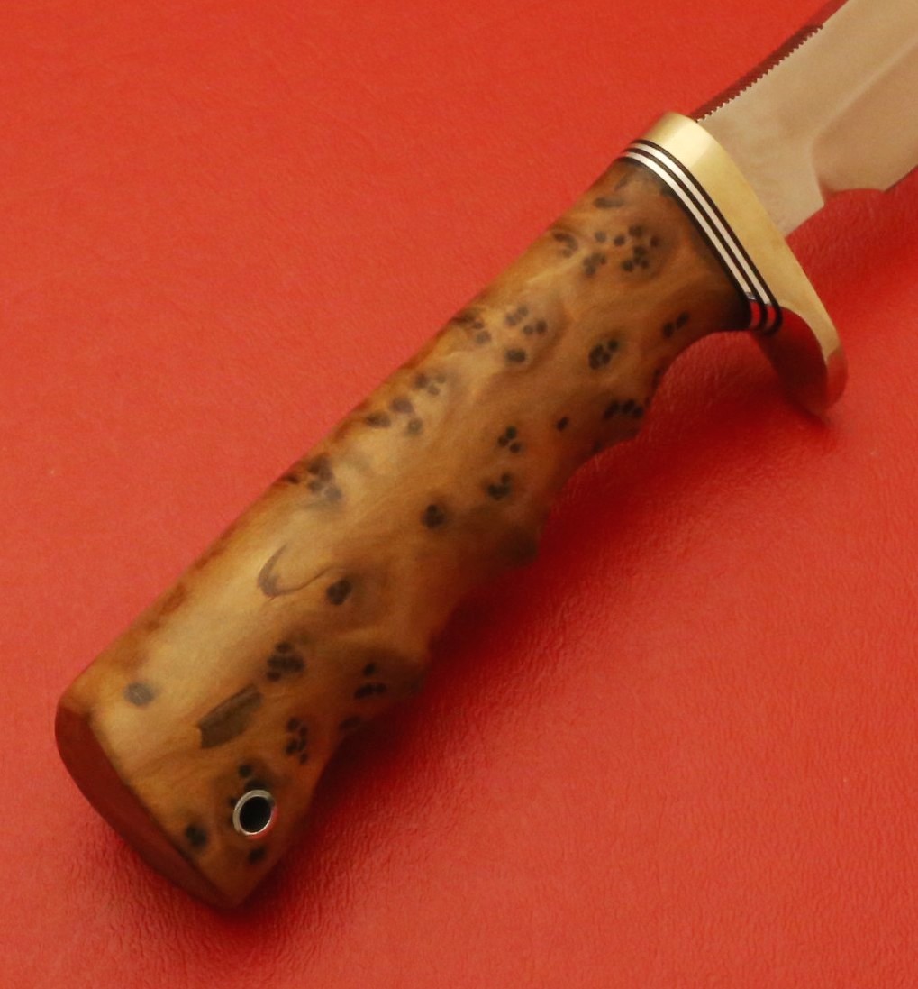 STANSP-THUYA-07-17-E.JPG