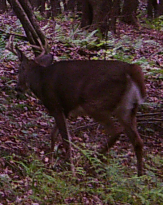 20181112_195150.jpg