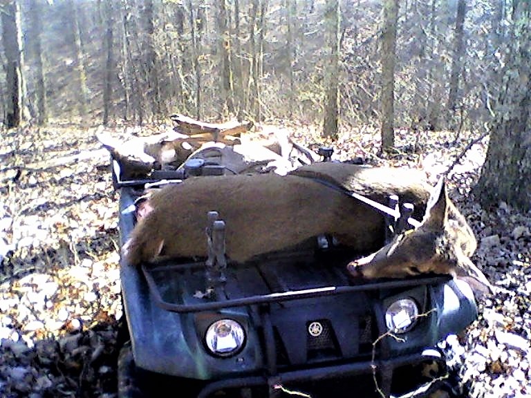 Doe Patrol (2).jpg