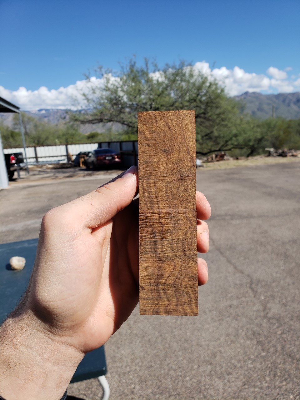 Mijn desert Ironwood. 3.jpg