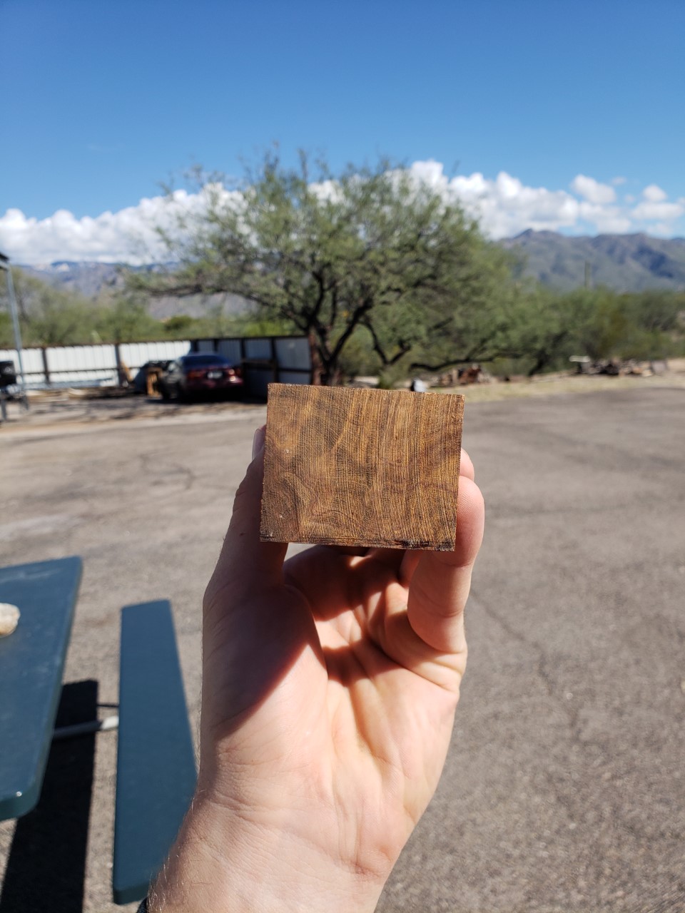 Mijn Desert Ironwood. 5.jpg