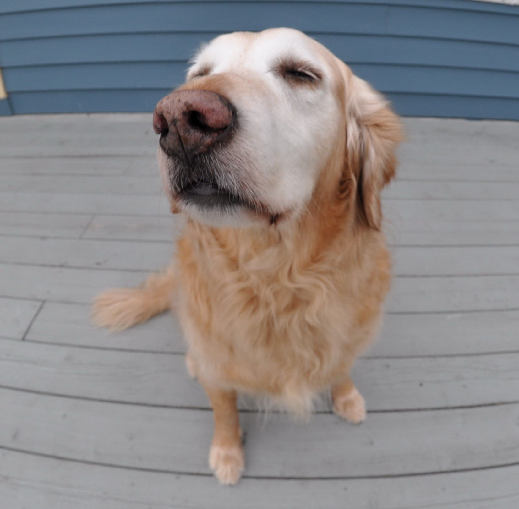 chester3.jpg