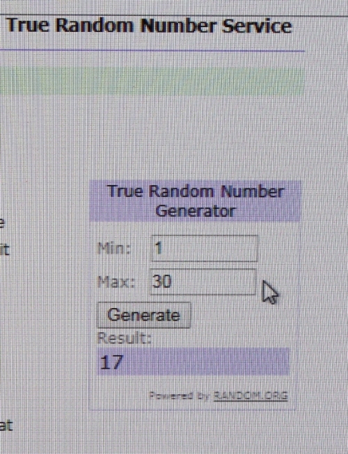 Po Mans Build.JPG