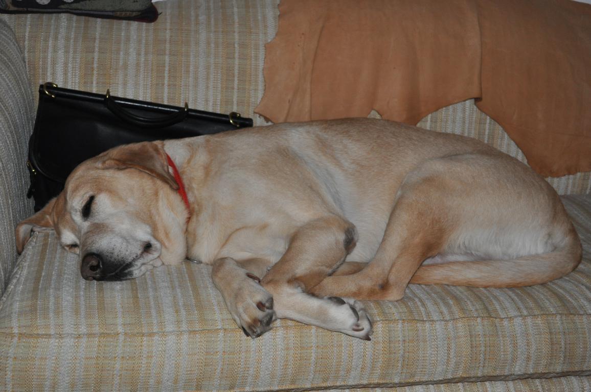 DSC_0008.JPG