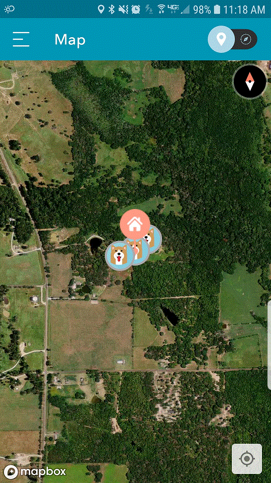 Dog's Territory.gif
