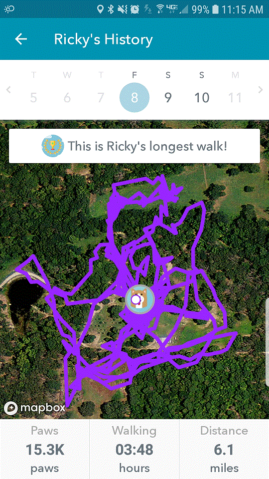 Ricky 6.1 miles.gif