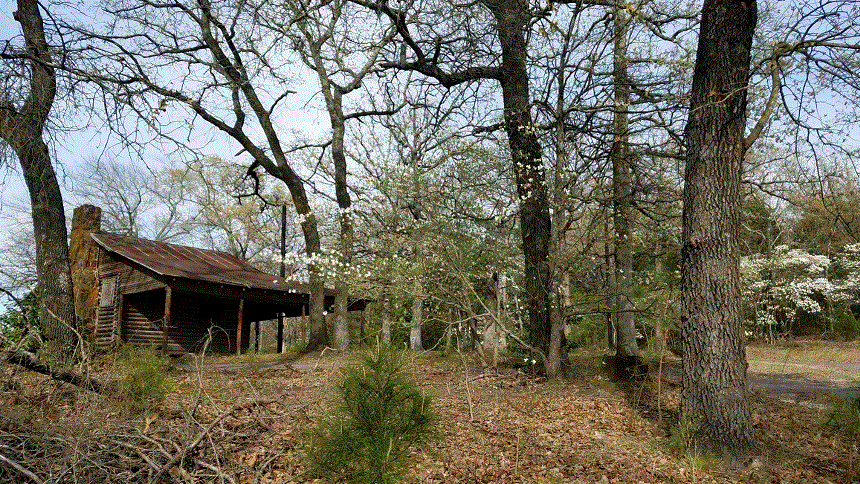 Log Cabin.gif
