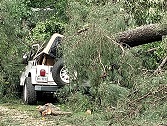 IMG_20190509_100341449.jpg