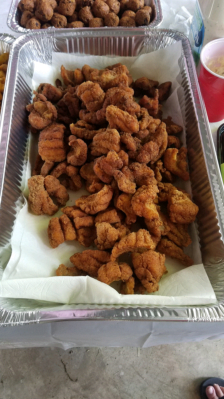 Catfish Fillets.gif