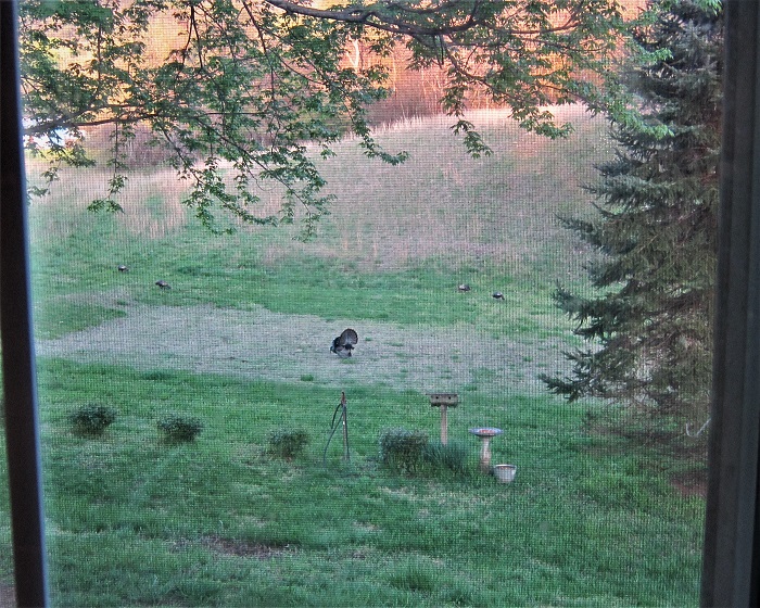 IMG_0940 (2).JPG IMG_0940 (2).JPG