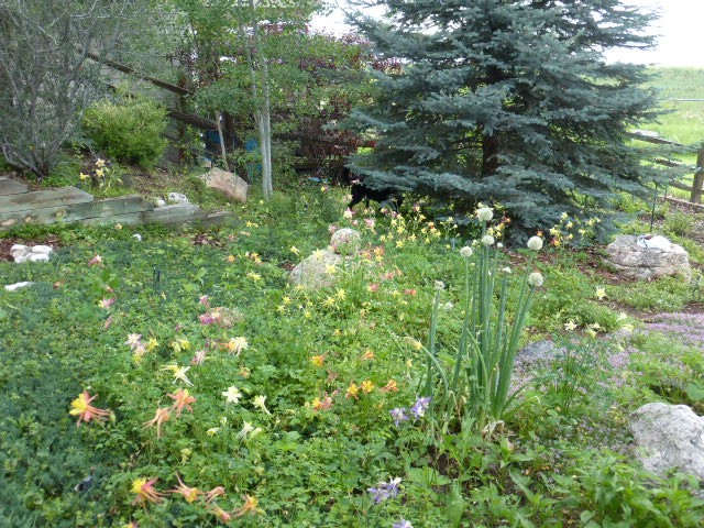 P1080303 (Small).JPG