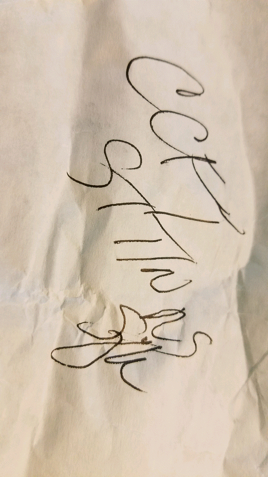 Scott's Writing.gif
