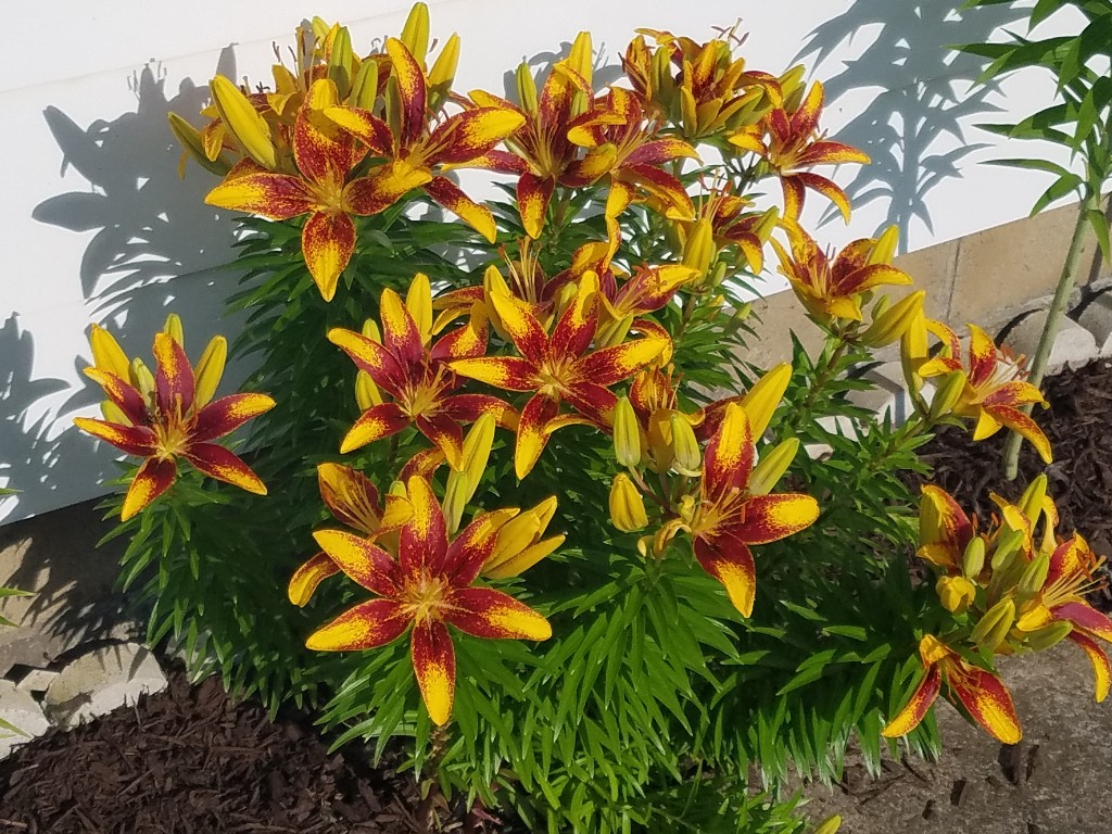 20190626_180142-1024x768.jpg