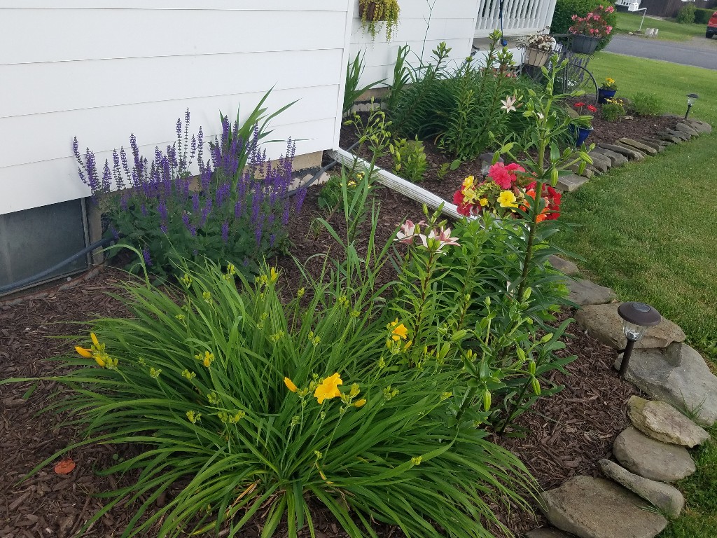 20190626_180226-1024x768.jpg