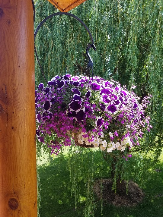 20190701_134904-540x720.jpg
