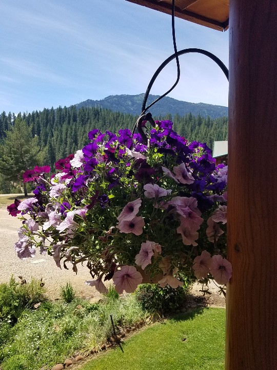 20190701_134923-540x720.jpg