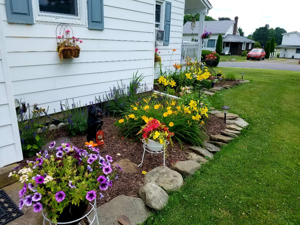 20190706_132049-1024x768.jpg
