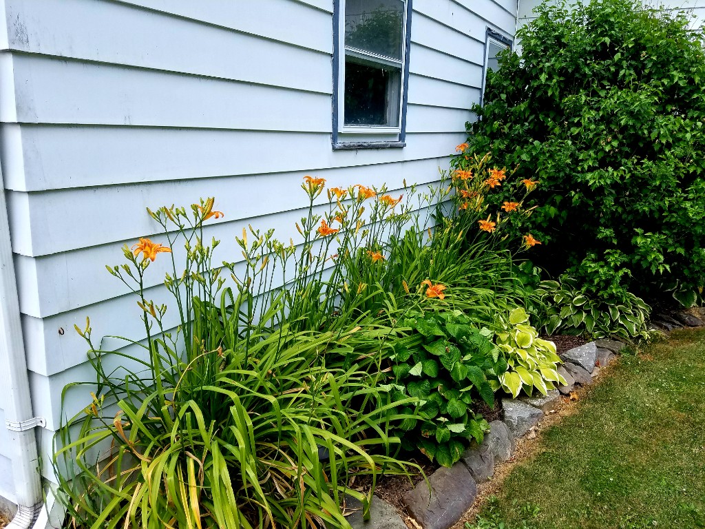 20190706_132012-1024x768.jpg