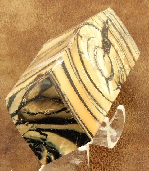 Stanaback-Mammoth Cross-cut Tusk End.jpg