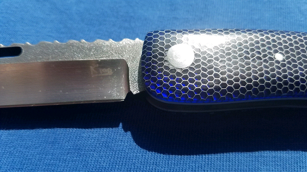 Sapphire in the sunshine.gif