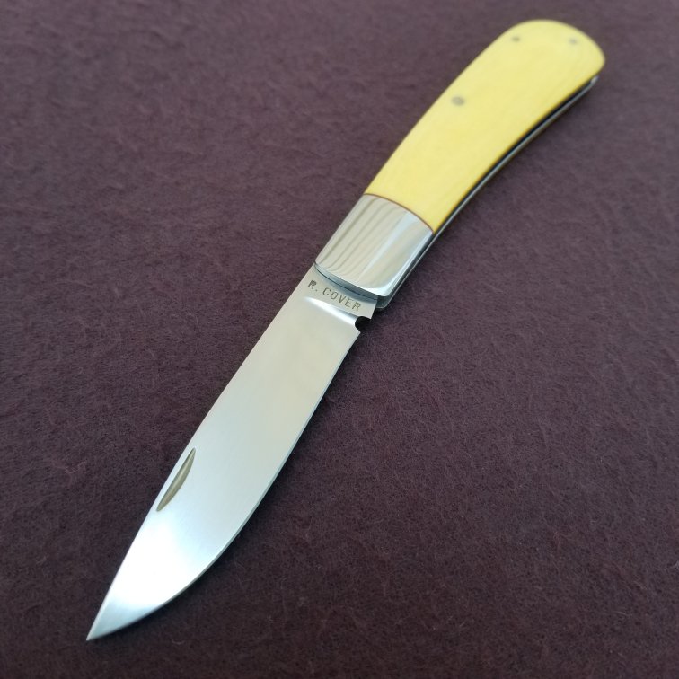 raycoverYellowfolder2.jpg