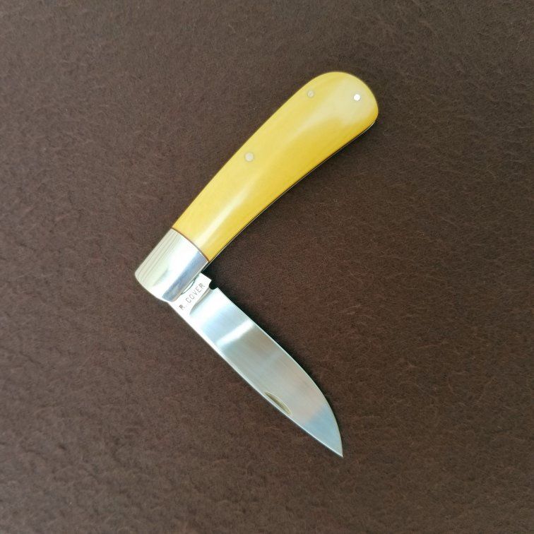 raycoverYellowfolder.jpg