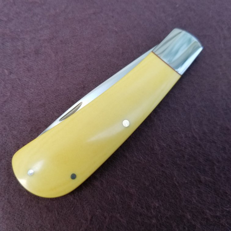raycoverYellowfolder5.jpg