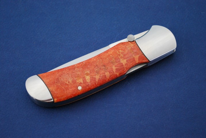 COV01a (Small).JPG COV01a (Small).JPG