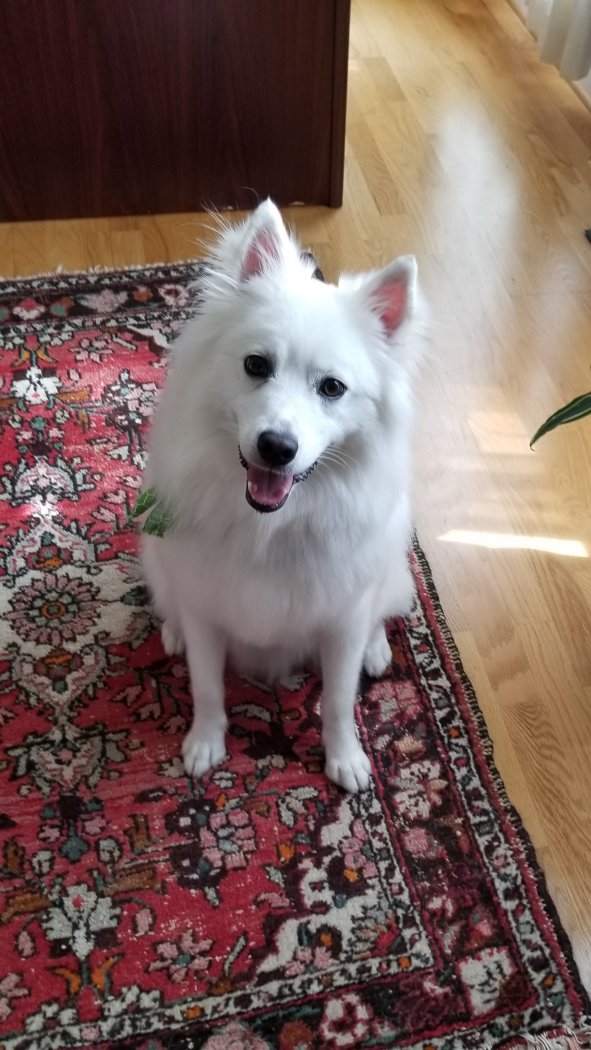 20180719_172910.jpg