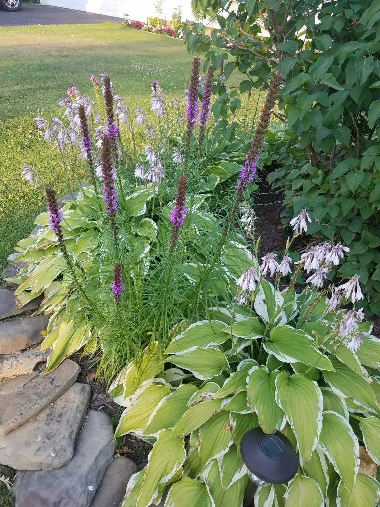20190801_192441-768x1024.jpg