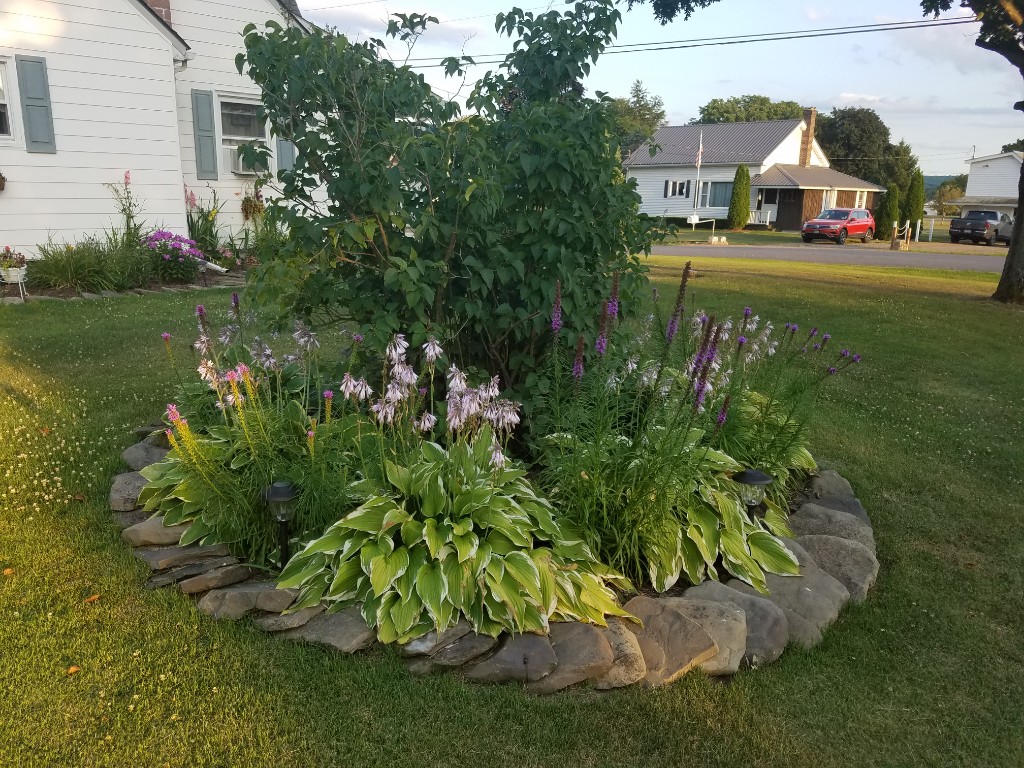 20190801_192453-1024x768.jpg