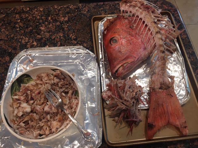 Snapper2.JPG