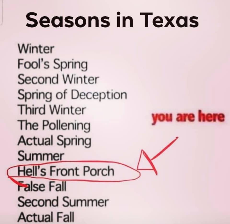 TX Summer.jpg