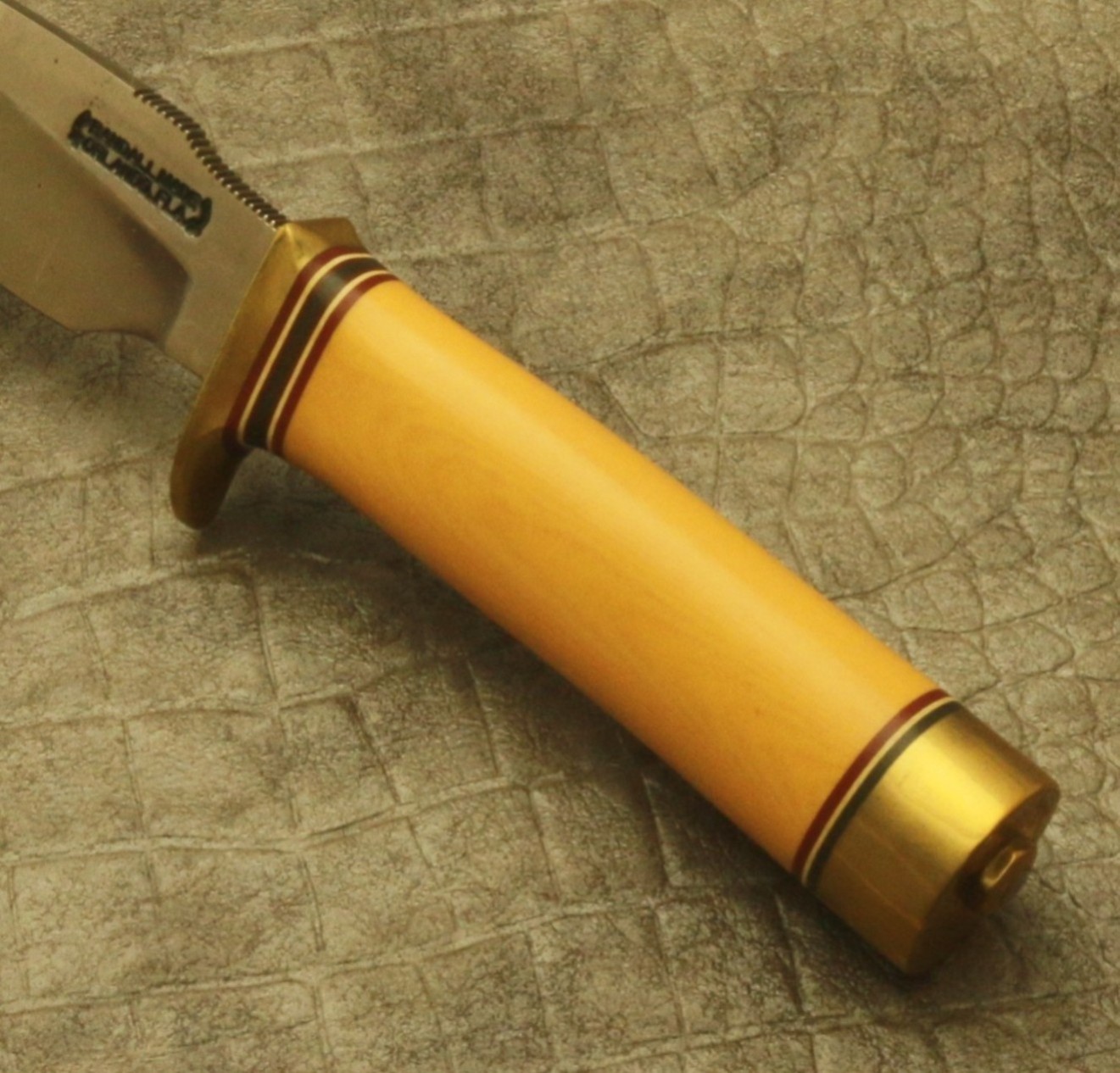 Capt's STASH-#11-4-OLD YELLER-D.JPG