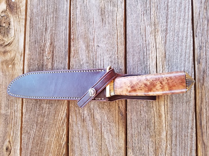 PapModel5-5.jpg