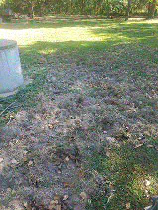 Hog Damage #2.gif