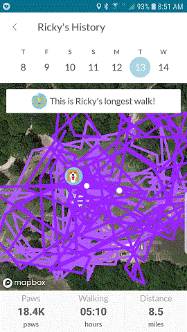 10-13-20.gif
