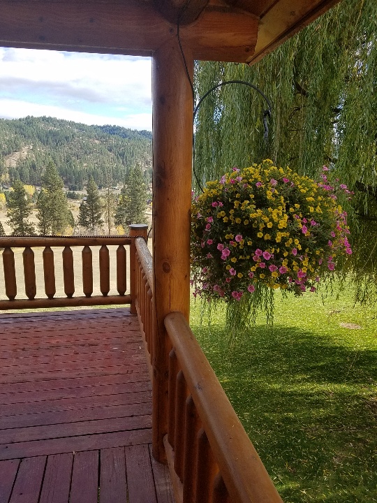IdahoFall 1.jpg