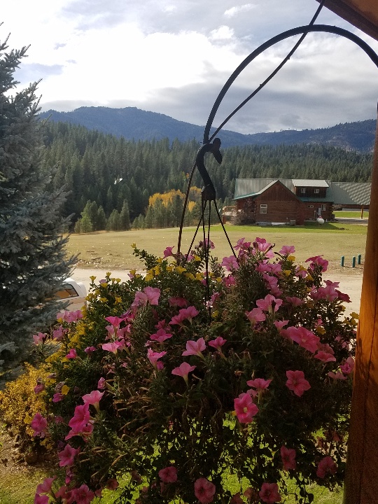 IdahoFall 3.jpg