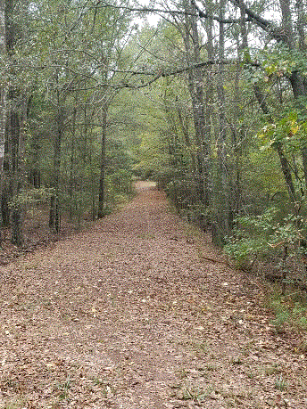 Bottom Road #1.gif