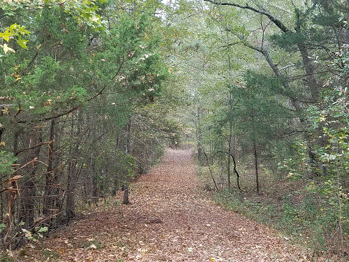 Bottom Road #2.gif