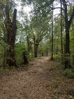 South Fence Road.gif