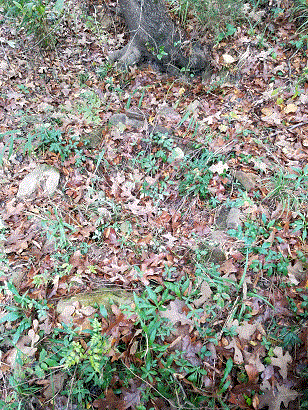 Old Well.gif