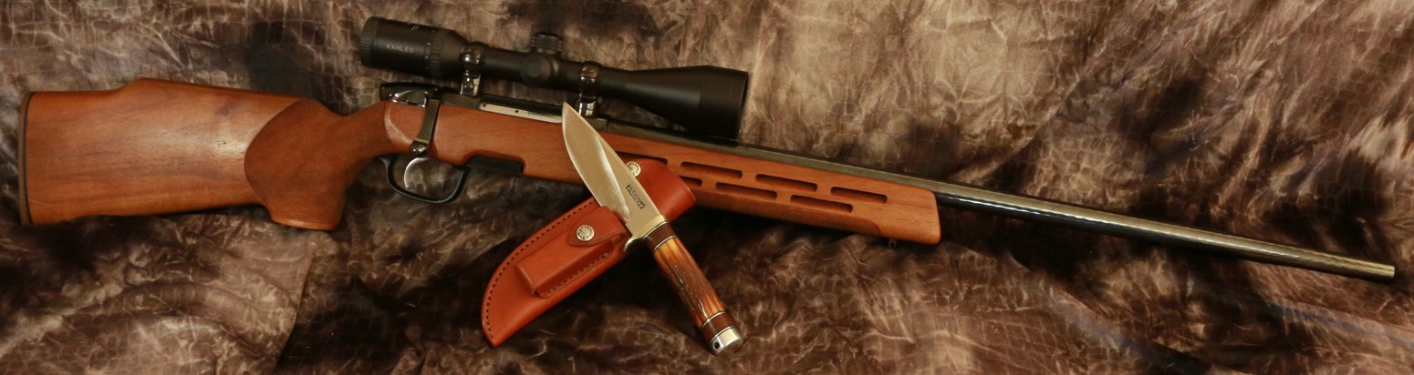 Steyr LR 308- RMK #25-A.JPG