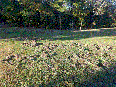 Damage 11-1-20 #2.gif